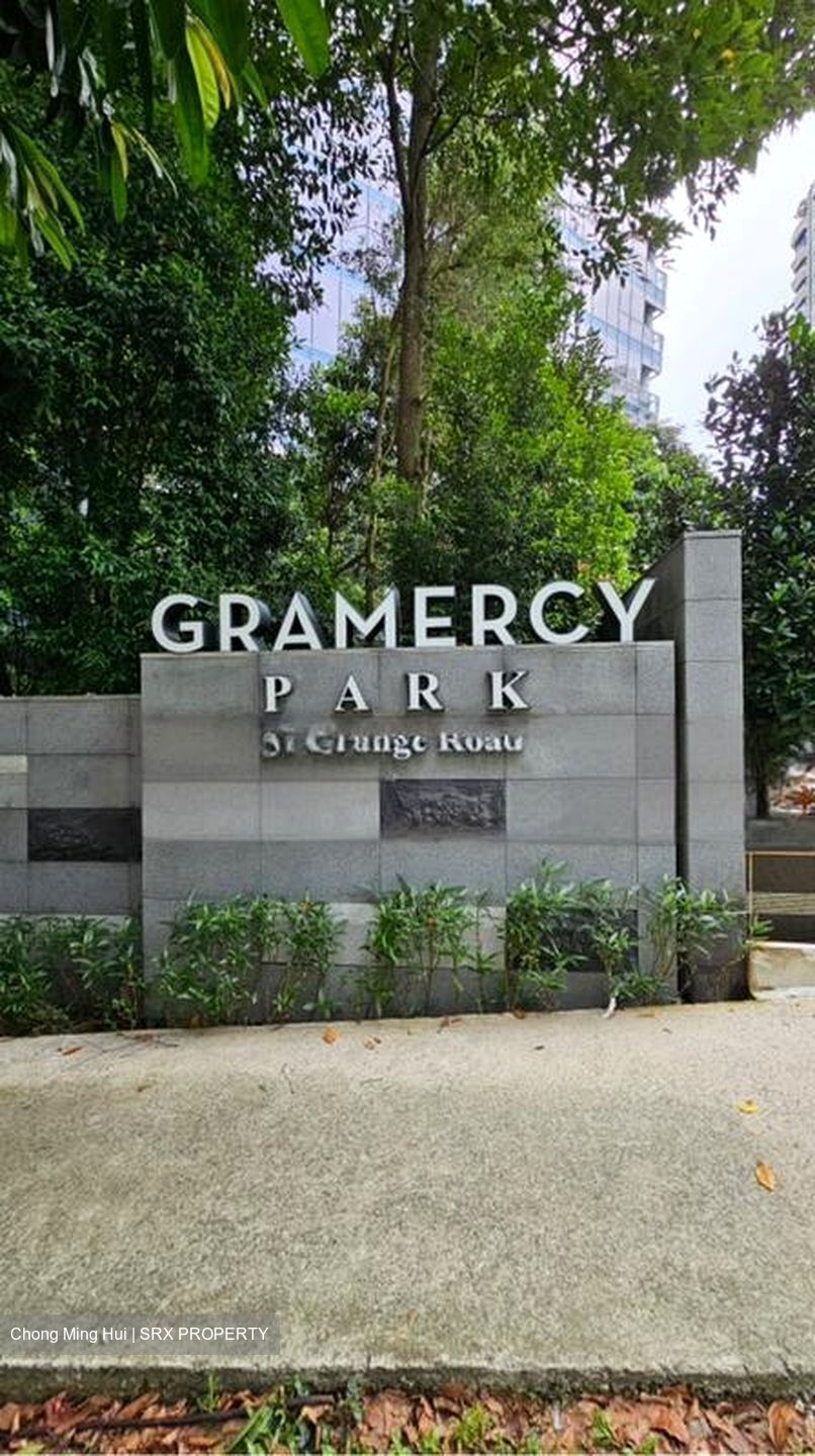 Gramercy Park (D10), Condominium #430414421